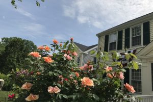 front of house june 20