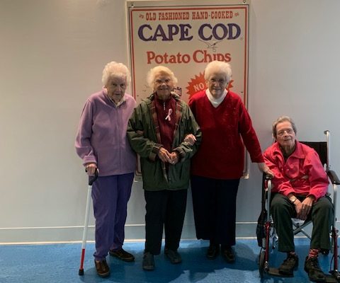 cape cod potato chip factory